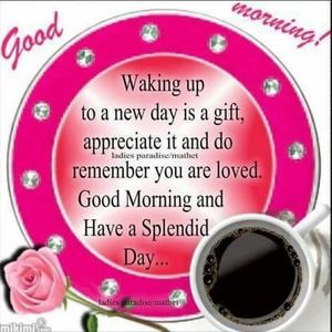 Meet your Posher, Jay